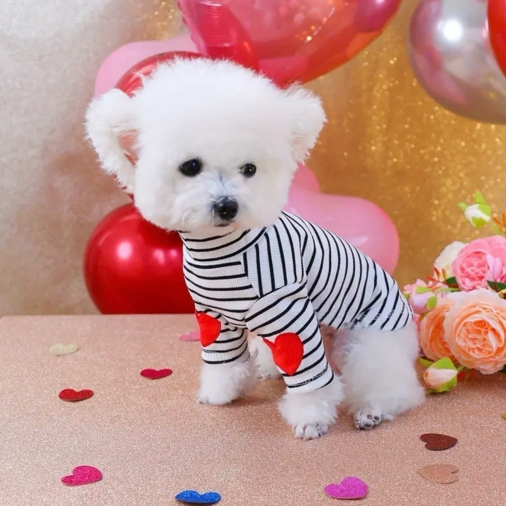 ADORABLE BLACK & WHITE STRIPE PULLOVER DOG SWEATER WITH RED HEART ACCENTS - Picture 4 of 10